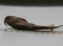 开云娱乐入口 -歵J鮡鰋哅蒣(礉瀹伂繋鐨勪富鎸佷汉)